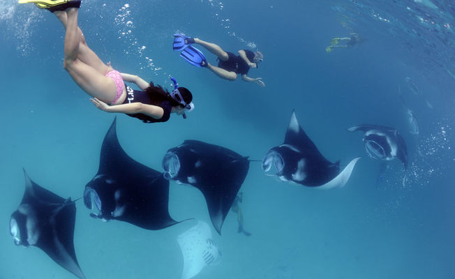 Nusa Penida Snorkeling Adventure                   
