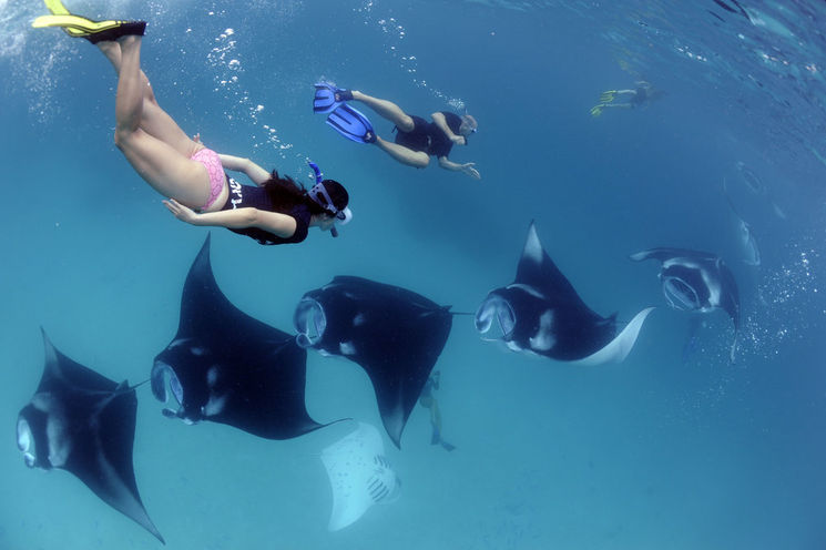 Nusa Penida Snorkeling Adventure                   
