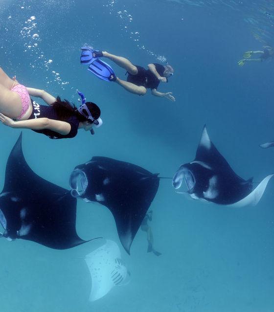 Nusa Penida Snorkeling Adventure                   