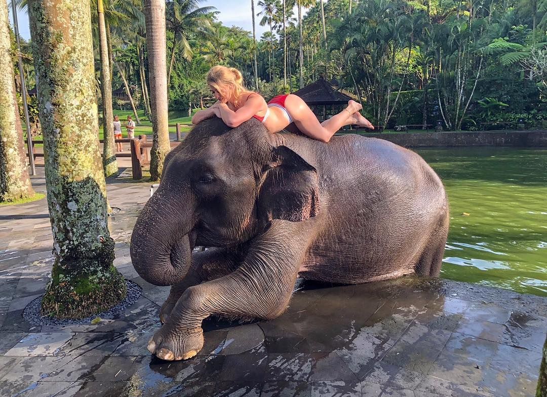 Bali Elephant Bath & Breakfast Day Tour   