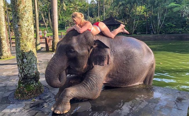 Bali Elephant Bath & Breakfast Day Tour   