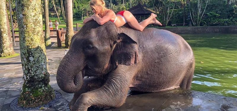Bali Elephant Bath & Breakfast Day Tour   