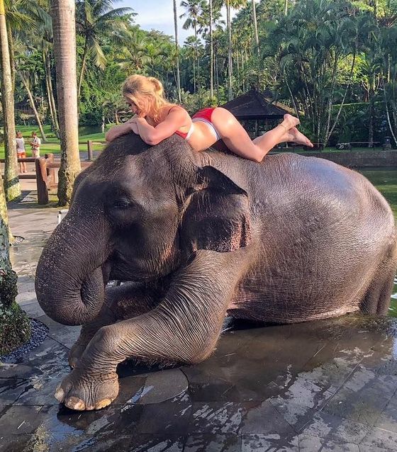 Bali Elephant Bath & Breakfast Day Tour   