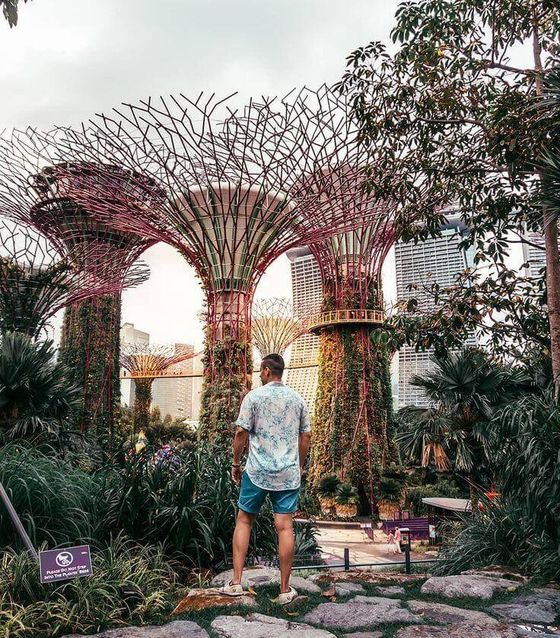 Gardens by the Bay, Singapore