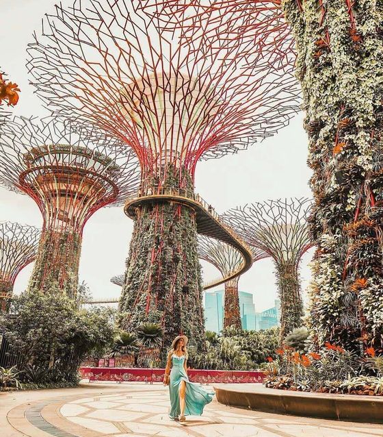 Gardens by the Bay, Singapore