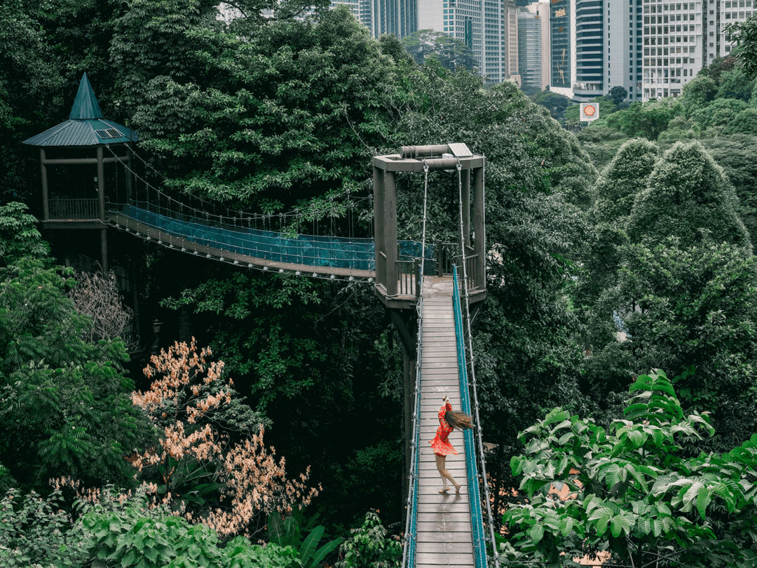 kl forest eco park kuala lumpur