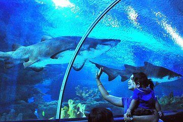 aquarium kuala lumpur