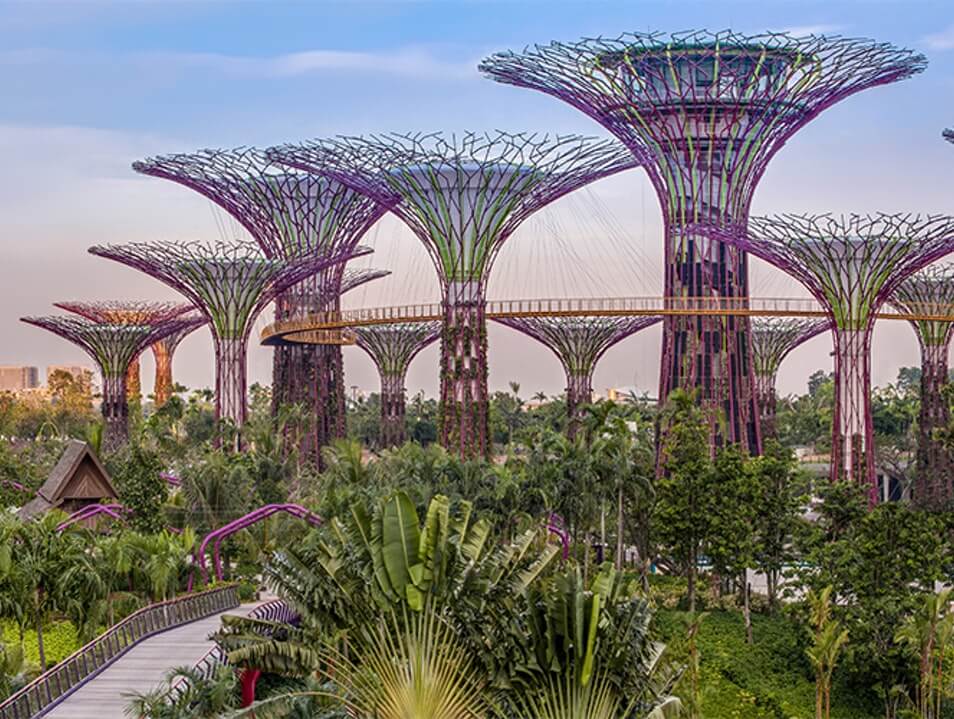 gardens by the bay singapore