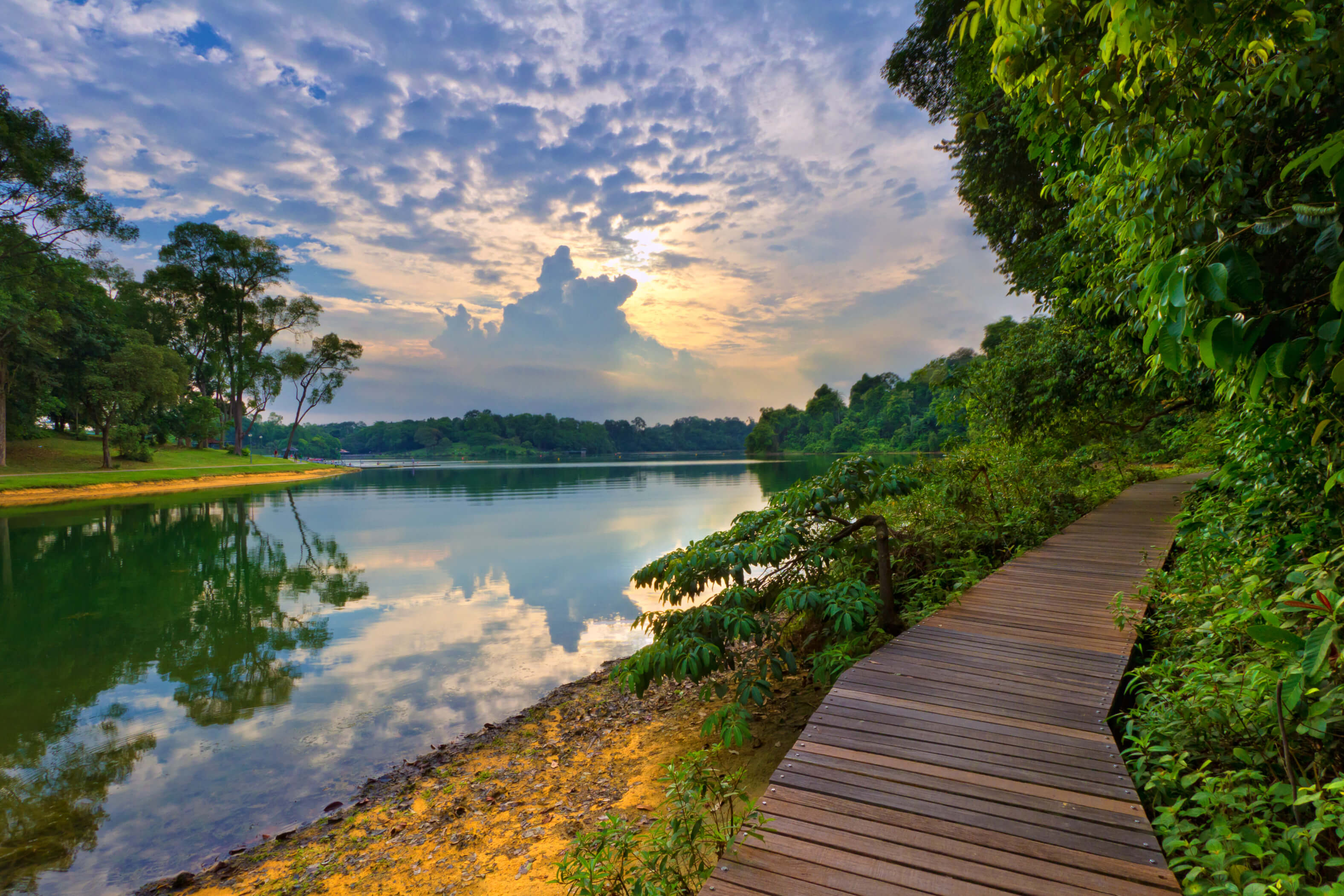 macritchie reservoir singapore
