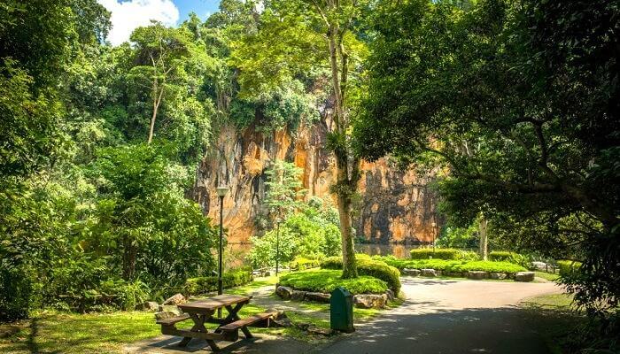 bukit batok hill singapore