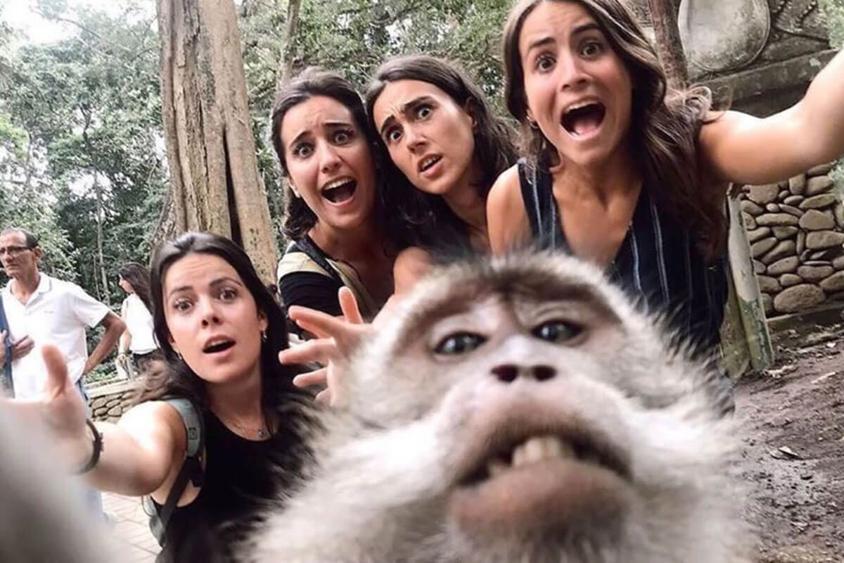 monkey forest ubud