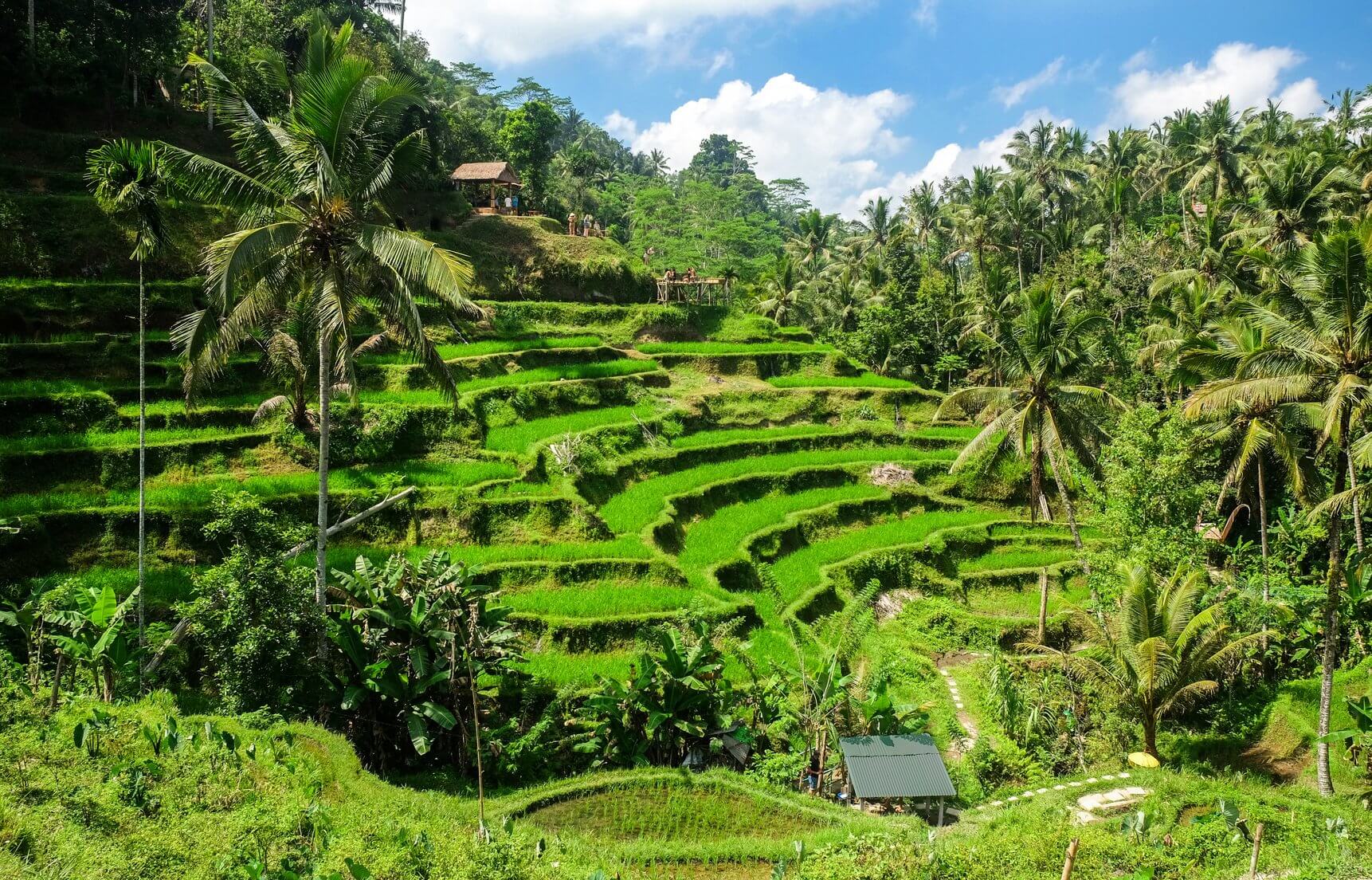ubud bali