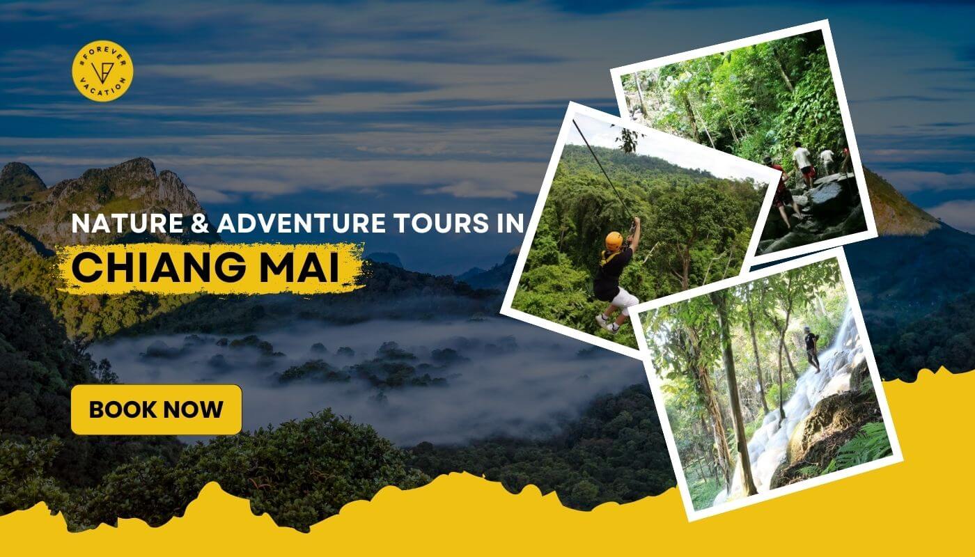 Best Adventure Tours & Activities in Chiang Mai