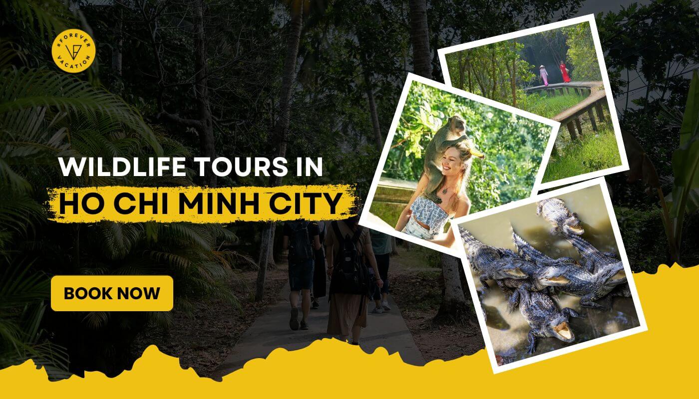 Safaris & Wildlife Tours in Ho Chi Minh City, Vietnam 