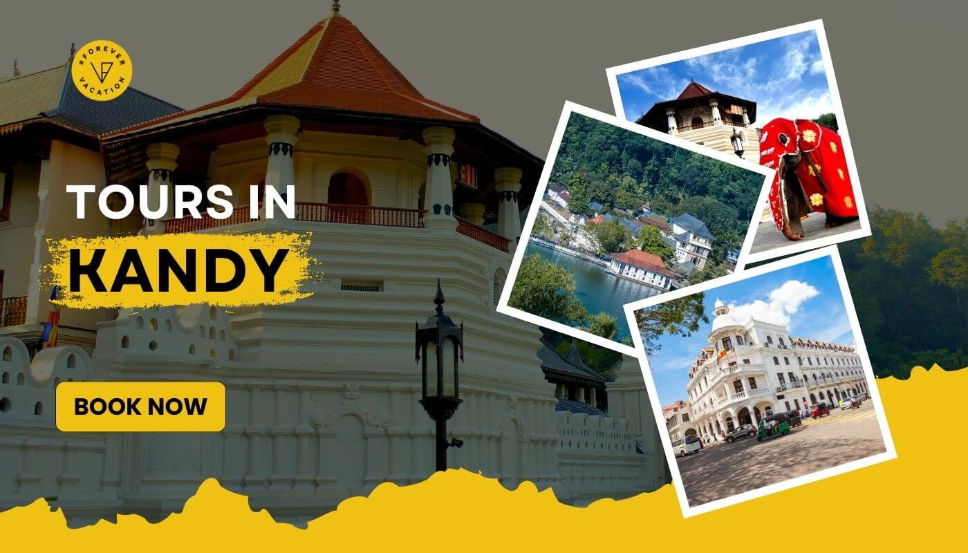 Tours in Kandy