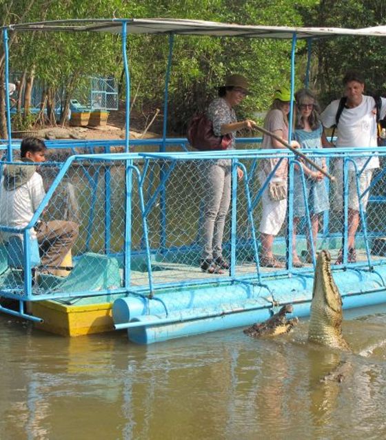 Feed the Crocodiles