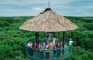 Tang Bong Tower