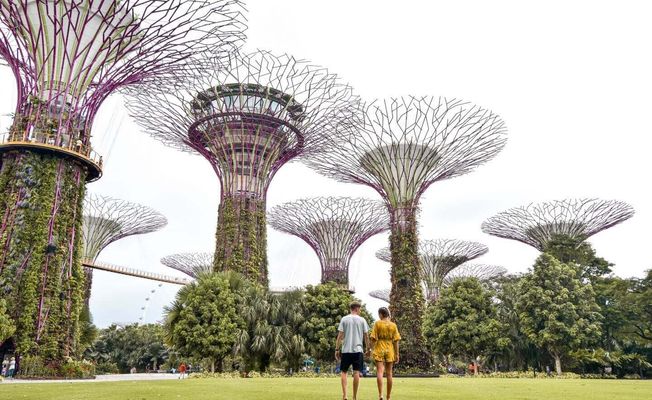 Singapore Walking Instagram Tour       