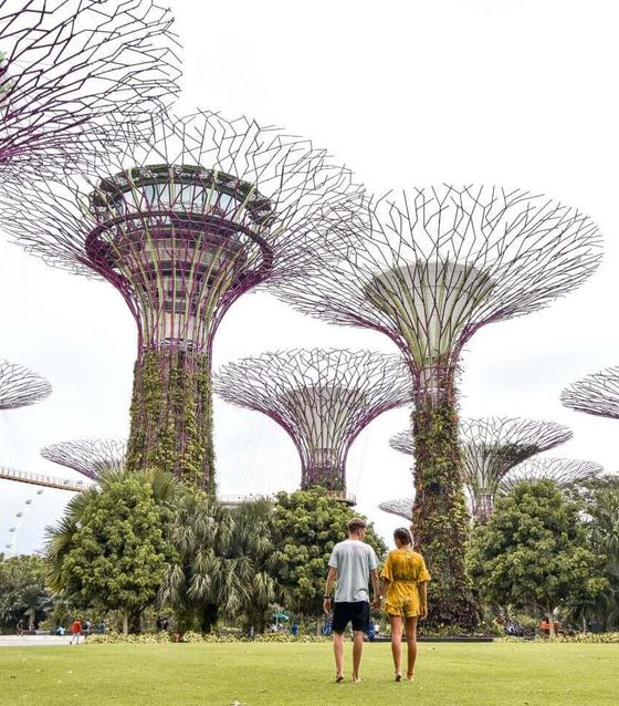 Singapore Walking Instagram Tour       
