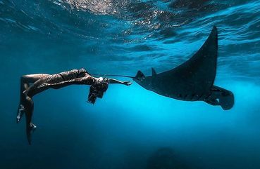 Manta Ray, Nusa Penida