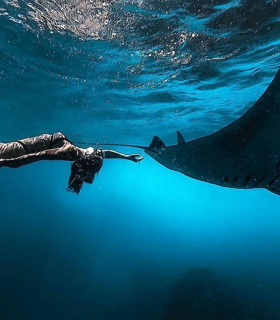 Manta Ray, Nusa Penida