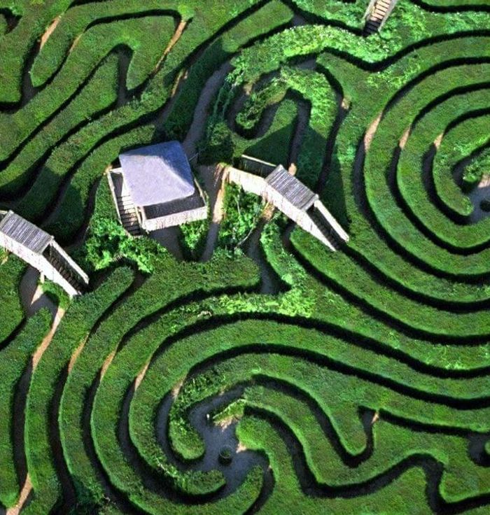 A-Maze Garden