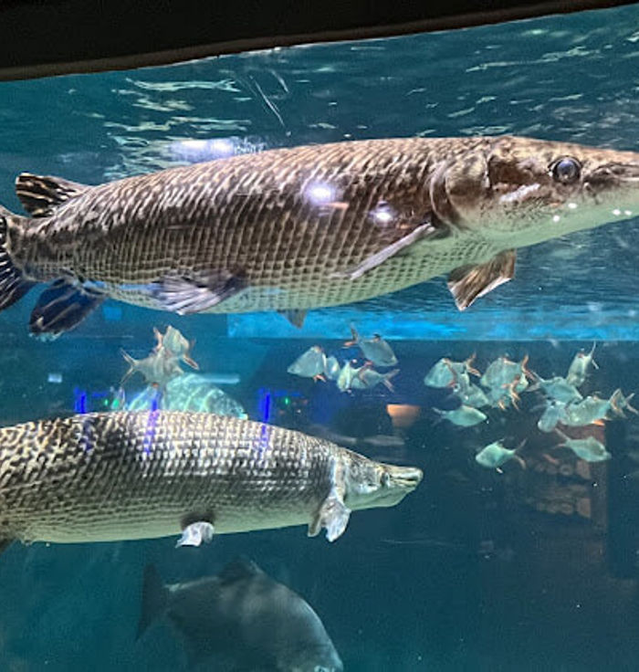 Aquaria KLCC