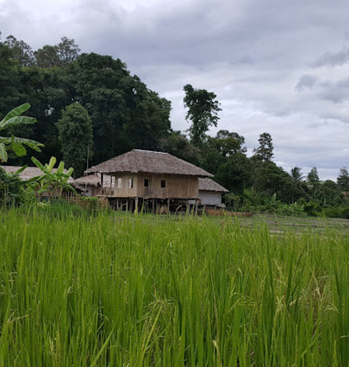 Baan Tong Luang Eco-agricultural Village