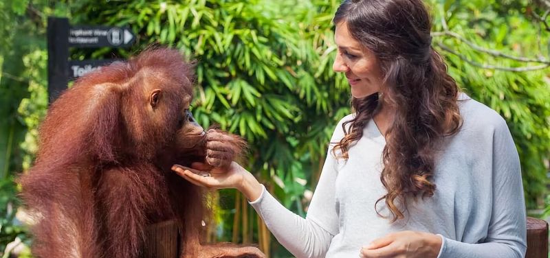 Bali Breakfast with Orangutans & ATV Adventure 