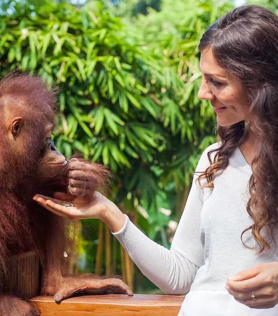 Bali Breakfast with Orangutans & ATV Adventure 