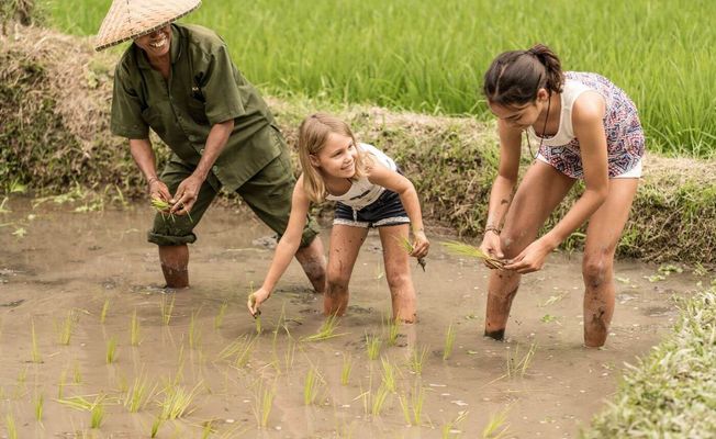 Bali Family Adventure: Breakfast With Orangutans And Rice Farming Experience 