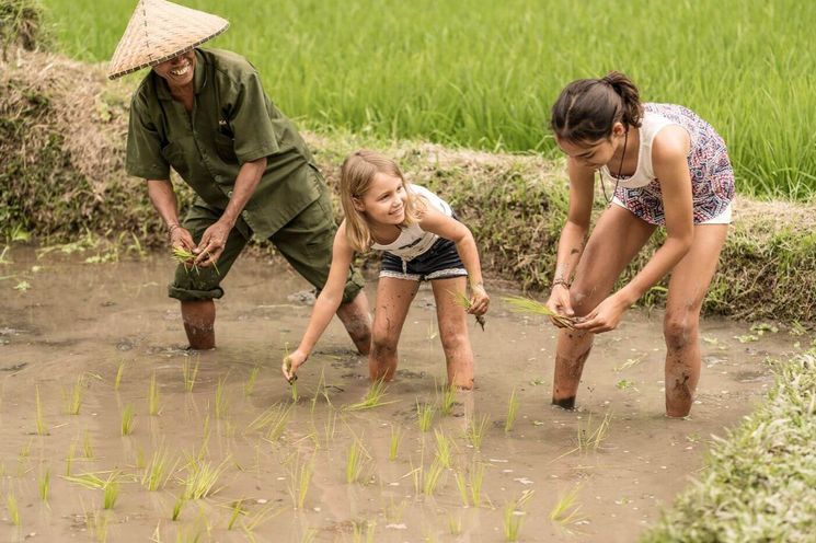 Bali Family Adventure: Breakfast With Orangutans And Rice Farming Experience 