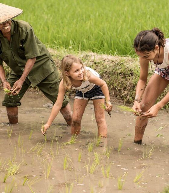 Bali Family Adventure: Breakfast With Orangutans And Rice Farming Experience 