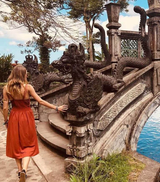Bali birds nest photo
