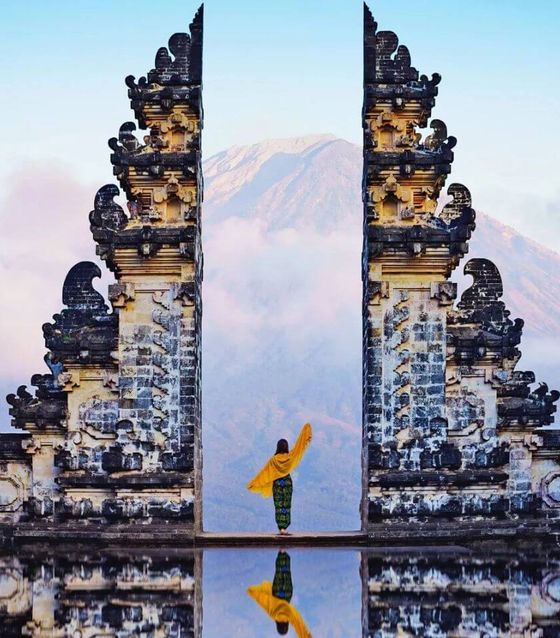 Nests in Bali