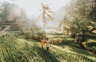 Tegalalang Rice Terrace, Bali
