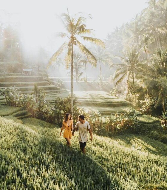 Tegalalang Rice Terrace, Bali