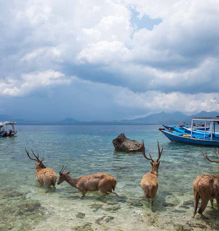 Bali National Park