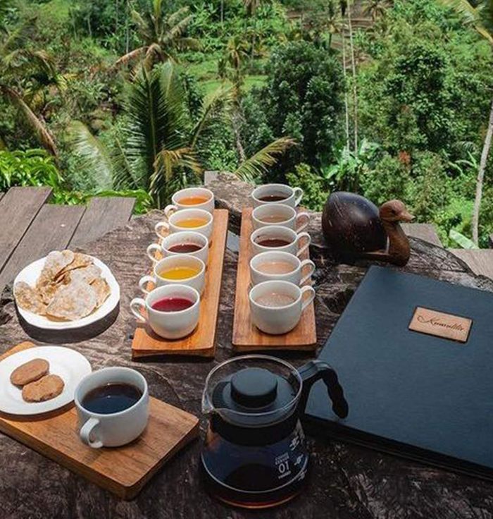 Bali Pulina Coffee Plantation