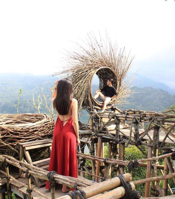 Wanagiri Hidden Hill, birds nest in Bali