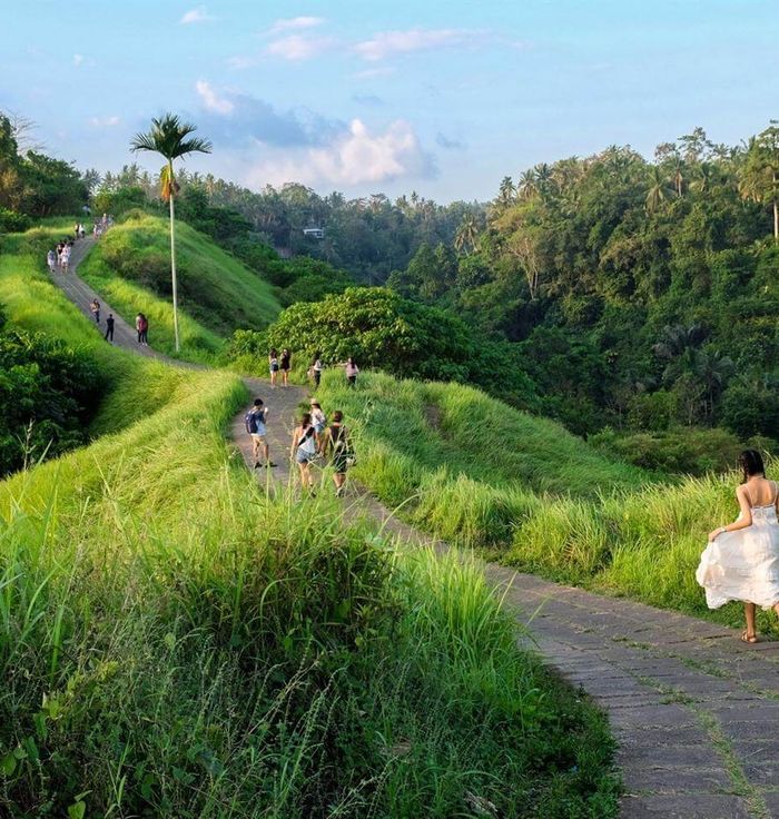 Campuhan Ridge Walk