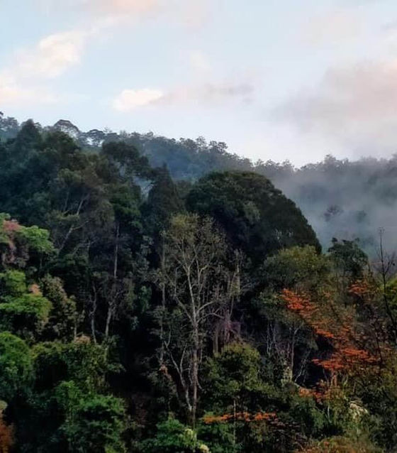 Chiang Dao Treking and Village Stay 2 Day 1 Night