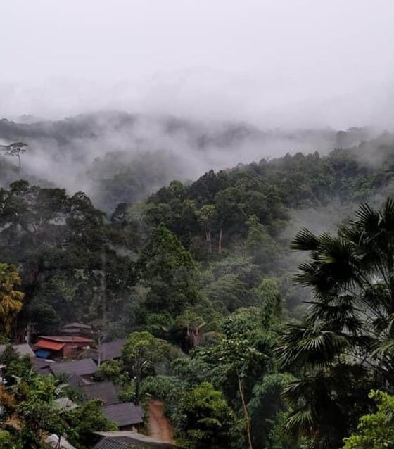 Chiang Dao Treking and Village Stay 2 Day 1 Night