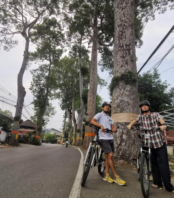 Chiang Mai City Tour by Bike (Half Day)