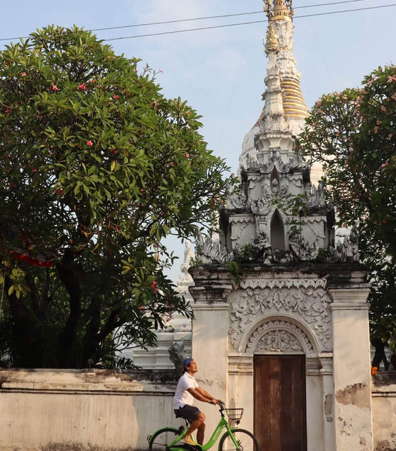 Chiang Mai City Tour by Bike (Half Day)