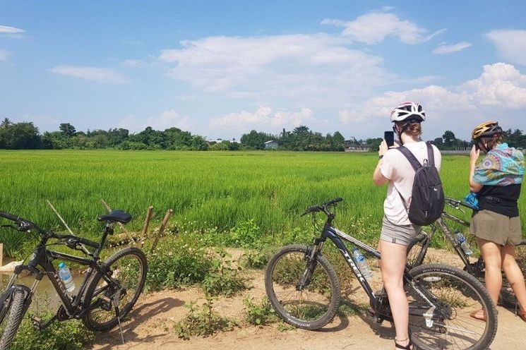 Chiang Mai Countryside Bicycle & Thai Cooking Class Experience 