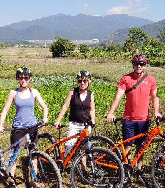 Bicycle and Thai Cooking