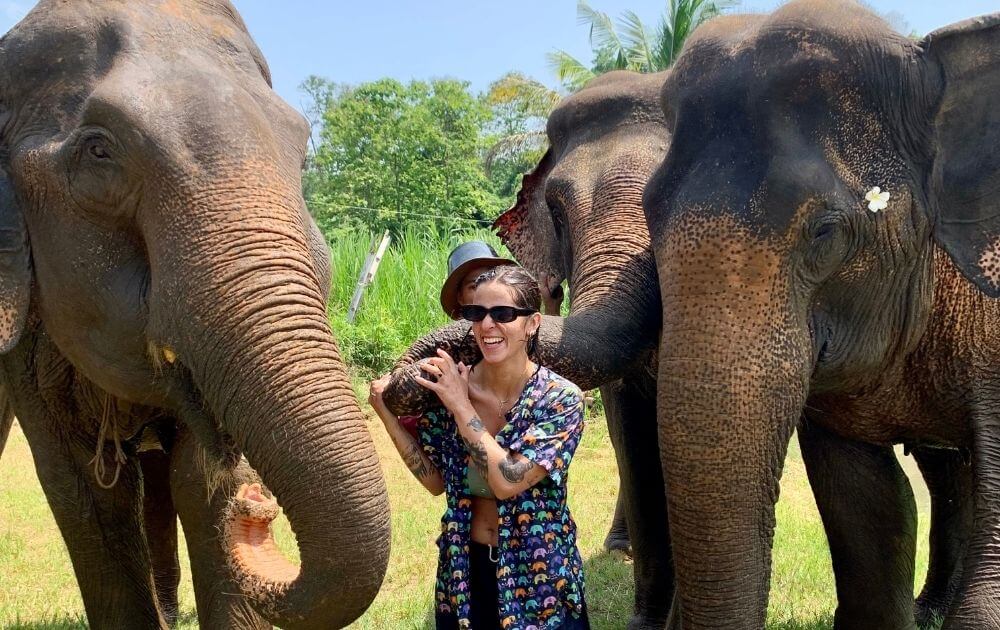 Chiang Mai Ethical Elephant Sanctuary & Temple Experience  