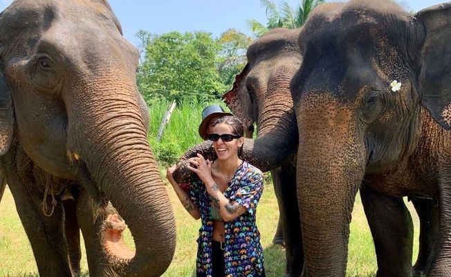 Chiang Mai Ethical Elephant Sanctuary & Temple Experience  