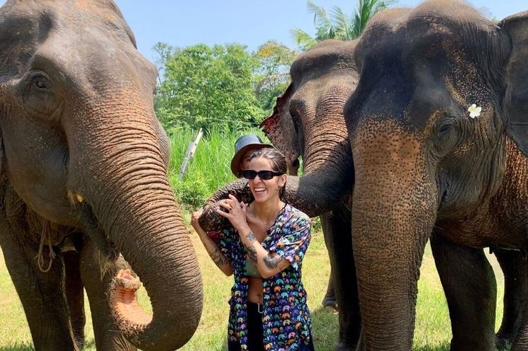 Chiang Mai Ethical Elephant Sanctuary & Temple Experience  